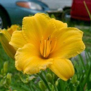 Meet your Posher, Debbie